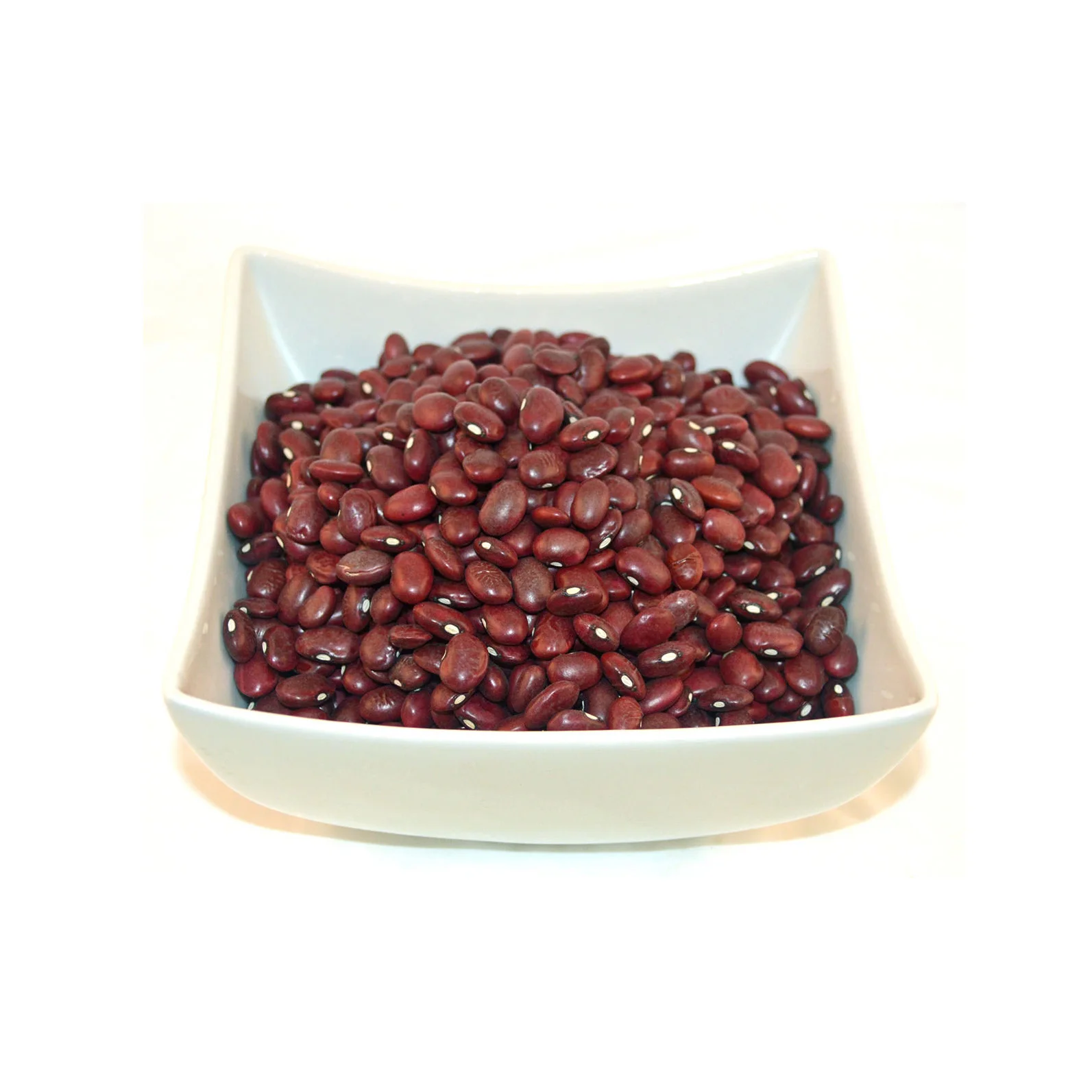 1111111111111 (1).jpg