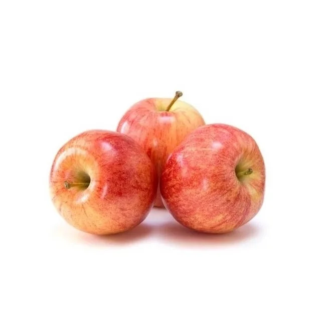 Fresh fruits apples Royal Gala fresh Apples class one Apples Polish origin