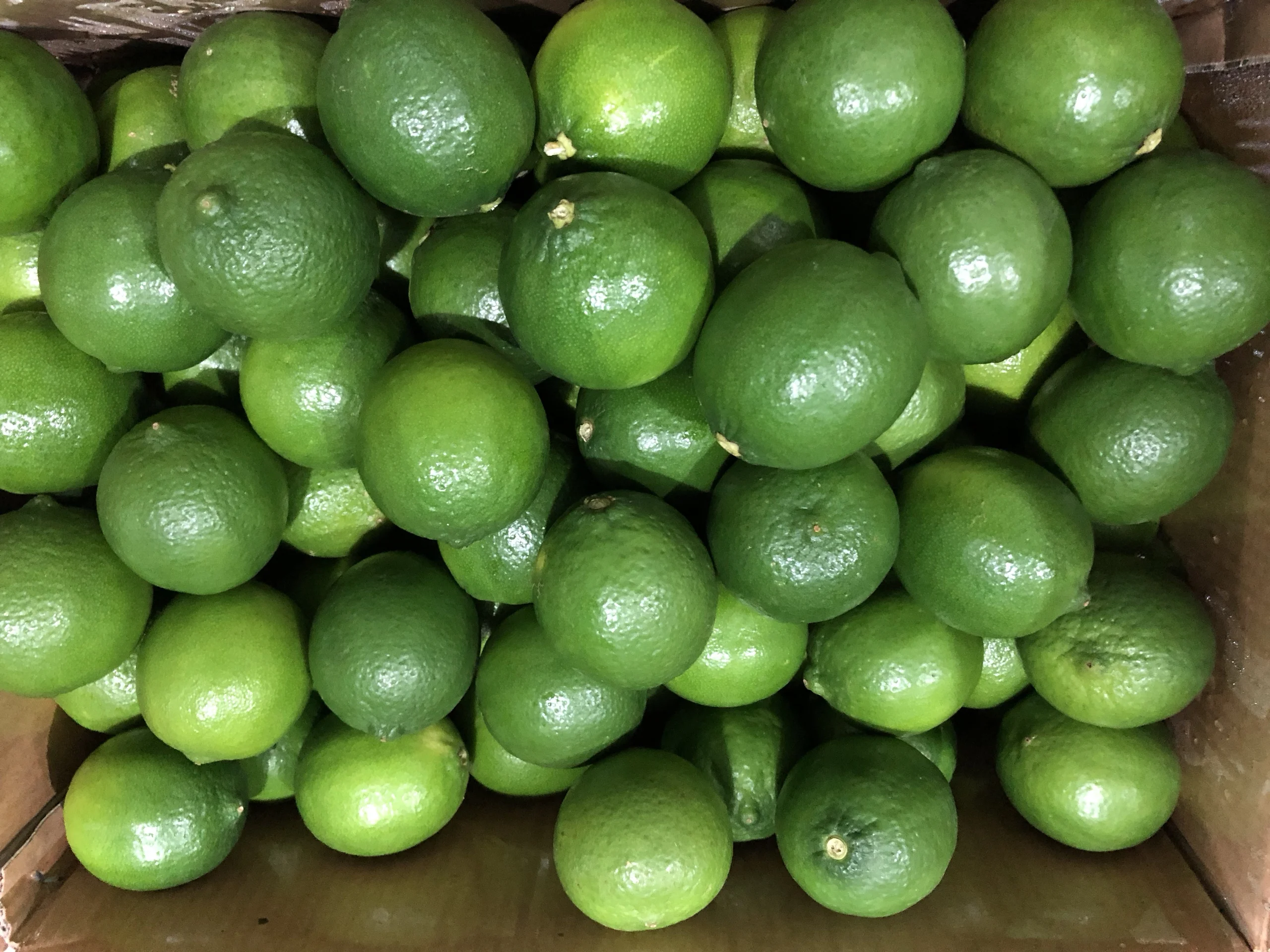 FRESH green LIME  BEST PRICE from Vietnam, call  +84963818434 whatsapp