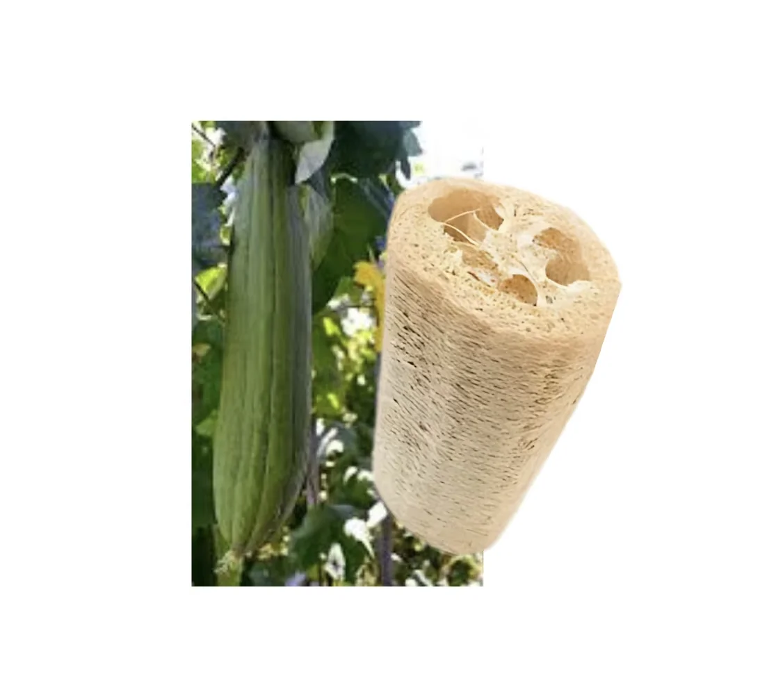 Luffa Sponge Body and Foot Scrub for Bath Brushes Sponges & Scrubbers