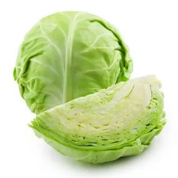 Wholesale Fresh Cabbage for Export / Fresh Cabbages for sale