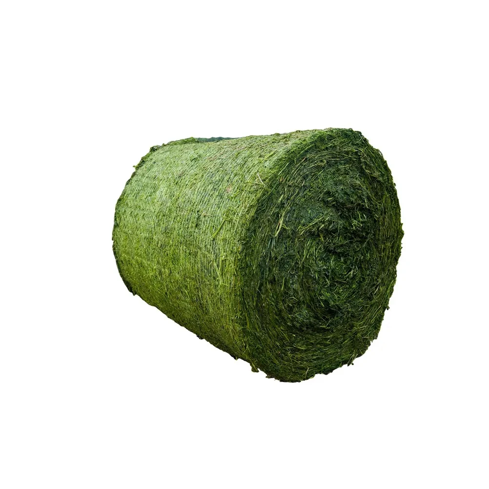 Premium Standards, Competitive Deals Trusted Rhodes Grass Manufacturers and Suppliers