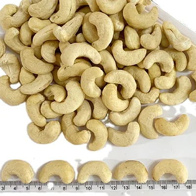 Premium Nuts - CASHEW KERNEL WW240 (220-240 seed/ pound) ORIGIN OF VIETNAM available for export