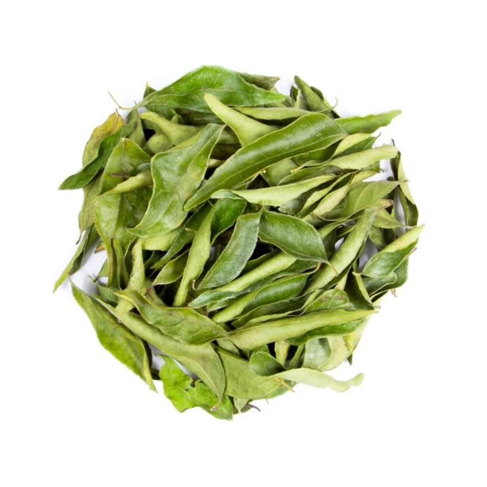 New Arrival Highest Selling 100% Assured Quality Original Green Color Strong Flavored Whole Curry Leaves Dried Spices for Sale