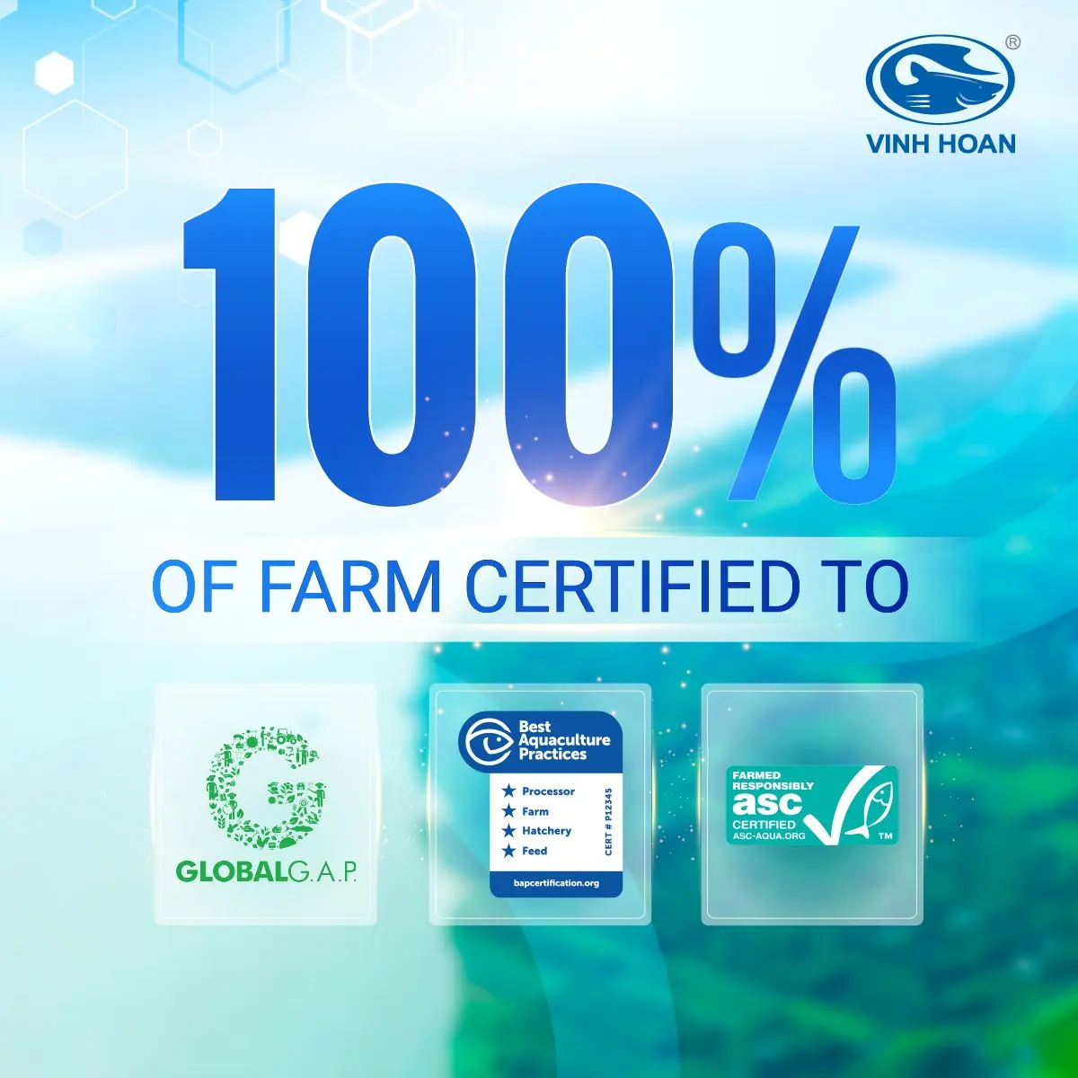 Factory Price High Quality Frozen Breaded Frozen Pangasius/Basa fillets IQF ISO certification