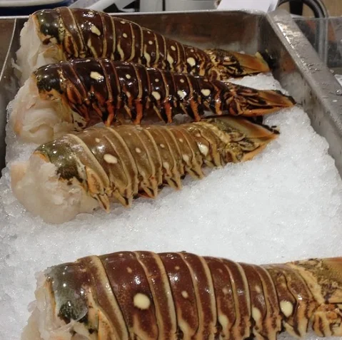 Live Canadian Lobsters, Frozen Lobster Tails