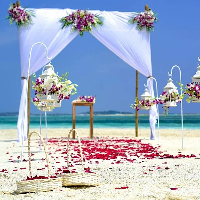 Натуральные сушеные лепестки роз настоящие цветы сухие красные для ног ванны тела ванной спа свадьбы конфетти Домашний аромат поделки «сделай сам»