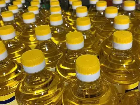 Wholesale Organic Bulk Refined Sunflower Plant Oil 5L From Brazil Cooking Oil Manufacture Natural Sunflower Oil