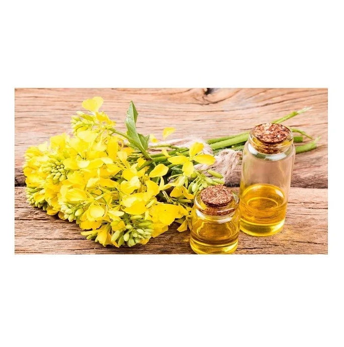 Cheap Price Wholesale Cooking Rapeseed / Canola Oil/bulk rapeseed oil