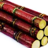 Замороженный сахарный тростник лучшего качества из Канады