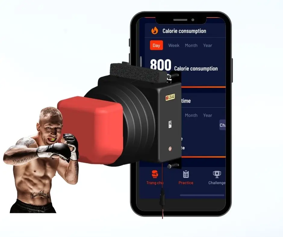 Boxing gym equipment Champio Tri Luc Master creates effective physical and mental exercises, testing speed of reflexes