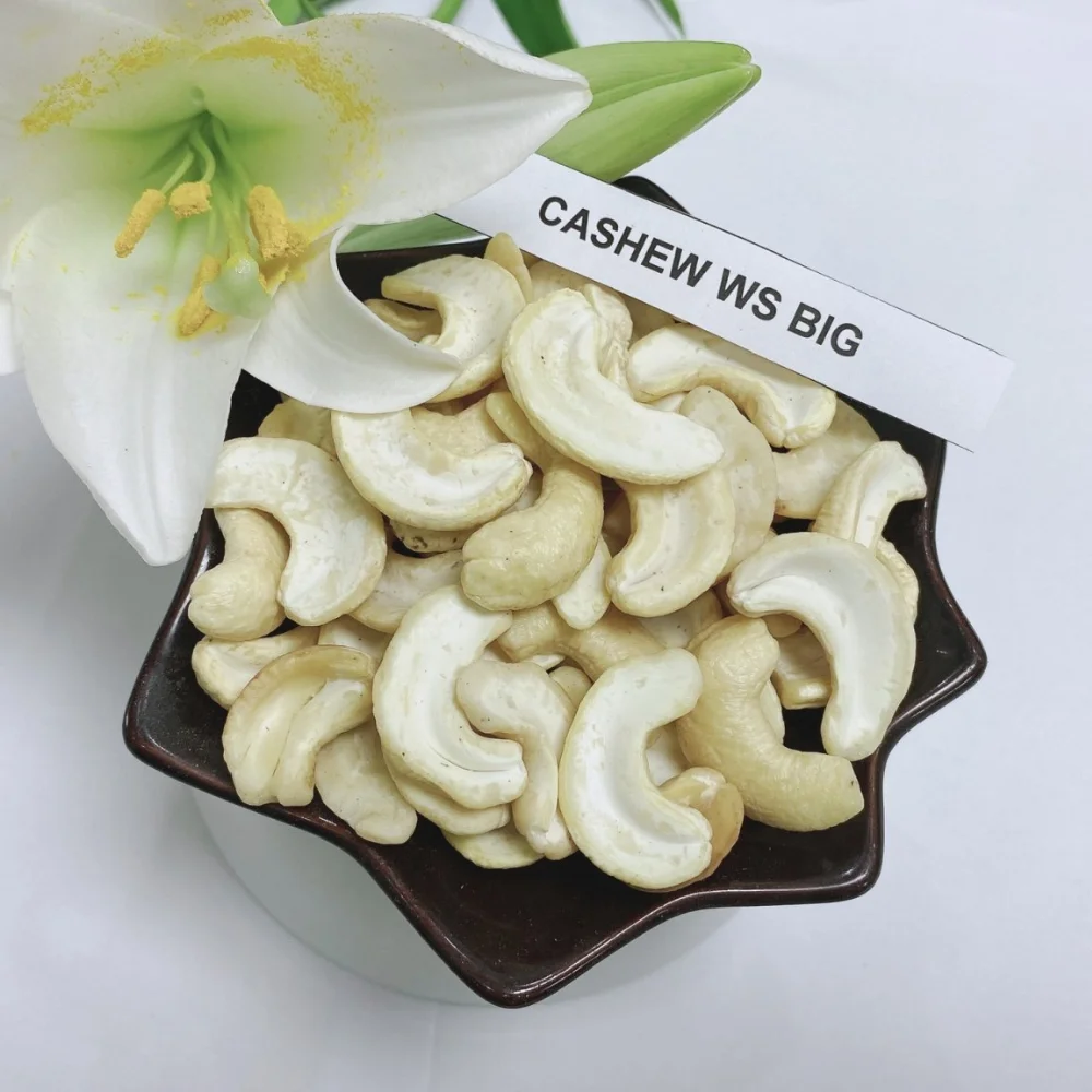 Оптовая продажа высокое качество низкая цена Бенин ядра кешью органические необработанные орехи для хорошего здоровья