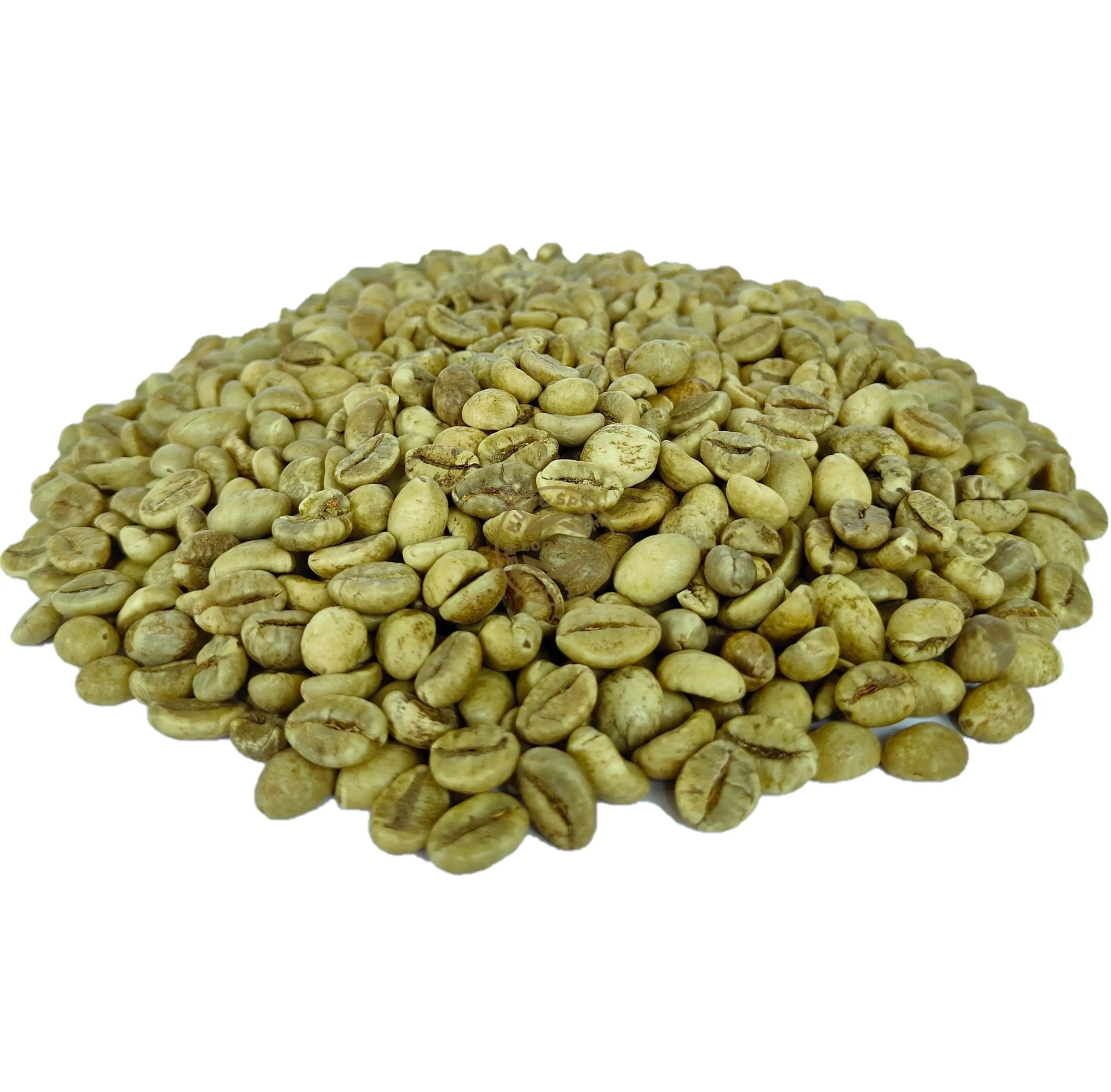 Wholesale Vietnamese Coffee Beans Arabica Washed Attractive Flavor Green Coffee Vietnam