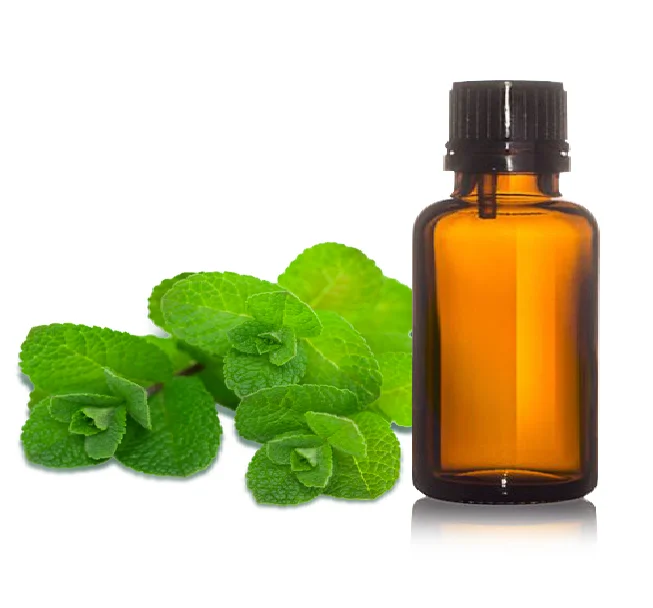 Top Seller Indian Manufacturer Organic Peppermint Oil IP/BP/USP il Top Grade Herbal Extracts and Essences Oil Plant