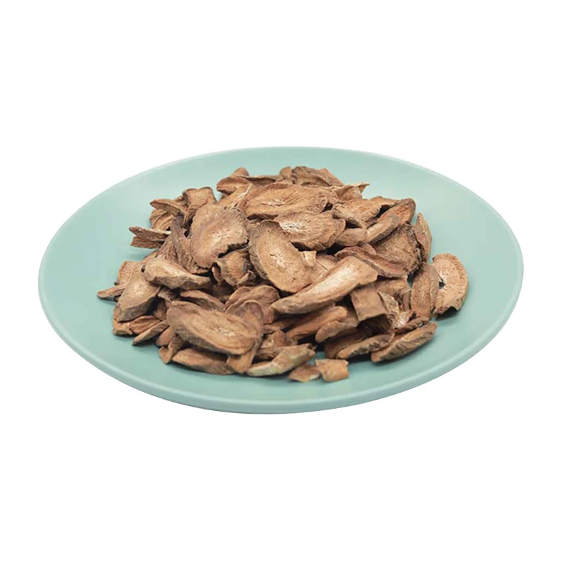 Natural Fresh Burdock, Golden Burdock and fresh Burdock, Fresh Burdock Root/FRESH BURDOCK Ready for Supply at  Good Price