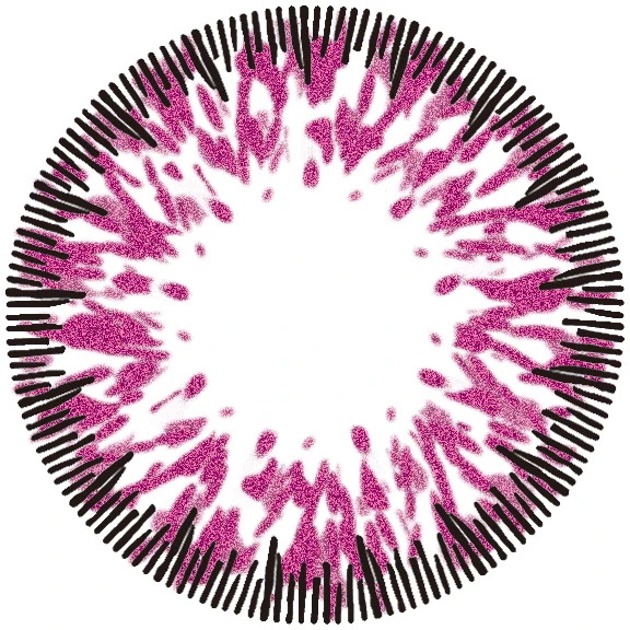 [UNISON] Korea Premium Brand UNISON Fresh go new Look Pearl Lens Best Selling Natural eyes Colored Contact Lens For Men & Women