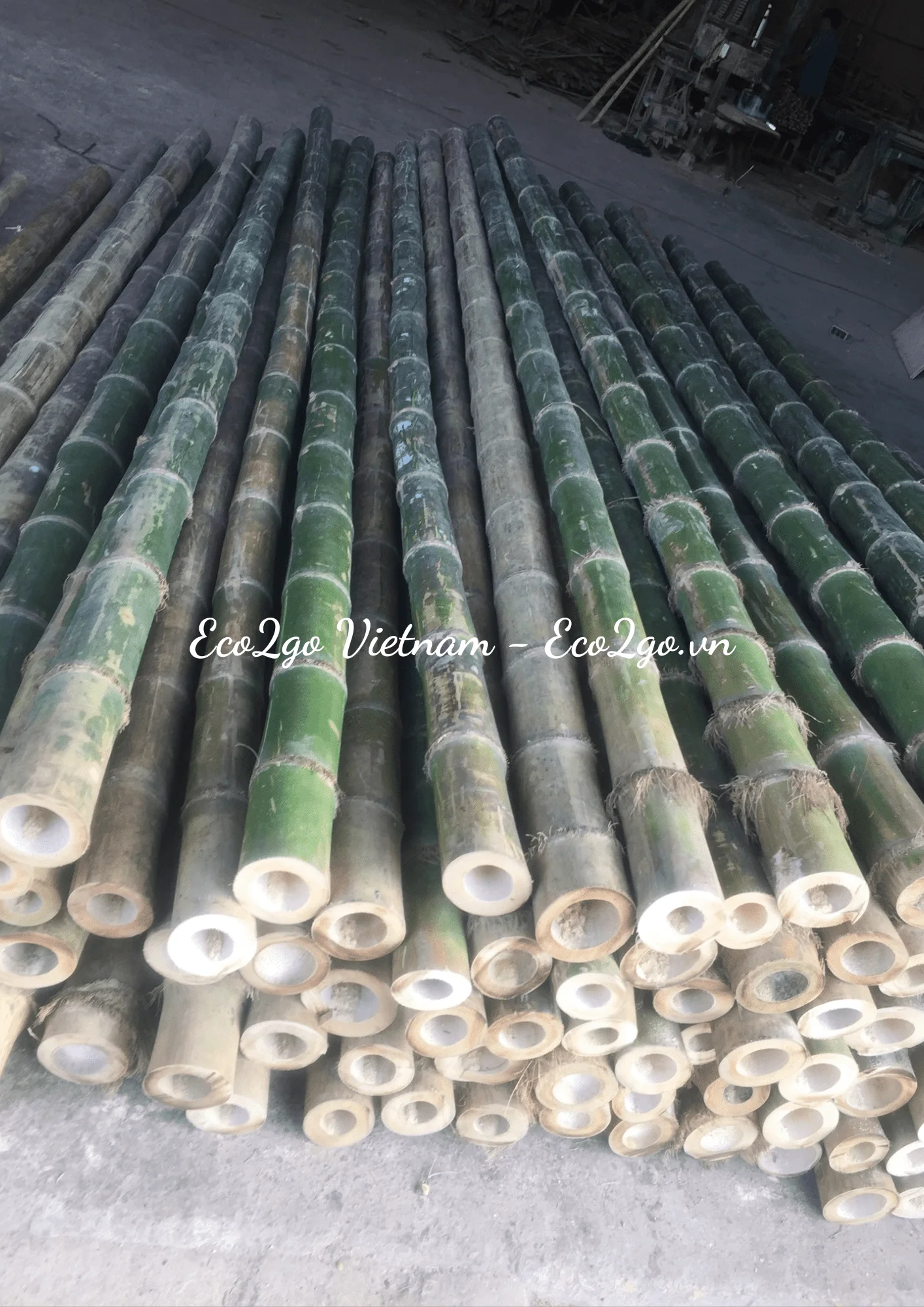 Best Seller Bamboo In Vietnam Bamboo Poles/ PVC Bamboo Poles/ Bamboo Poles Price With High Quality From Eco2go Vietnam