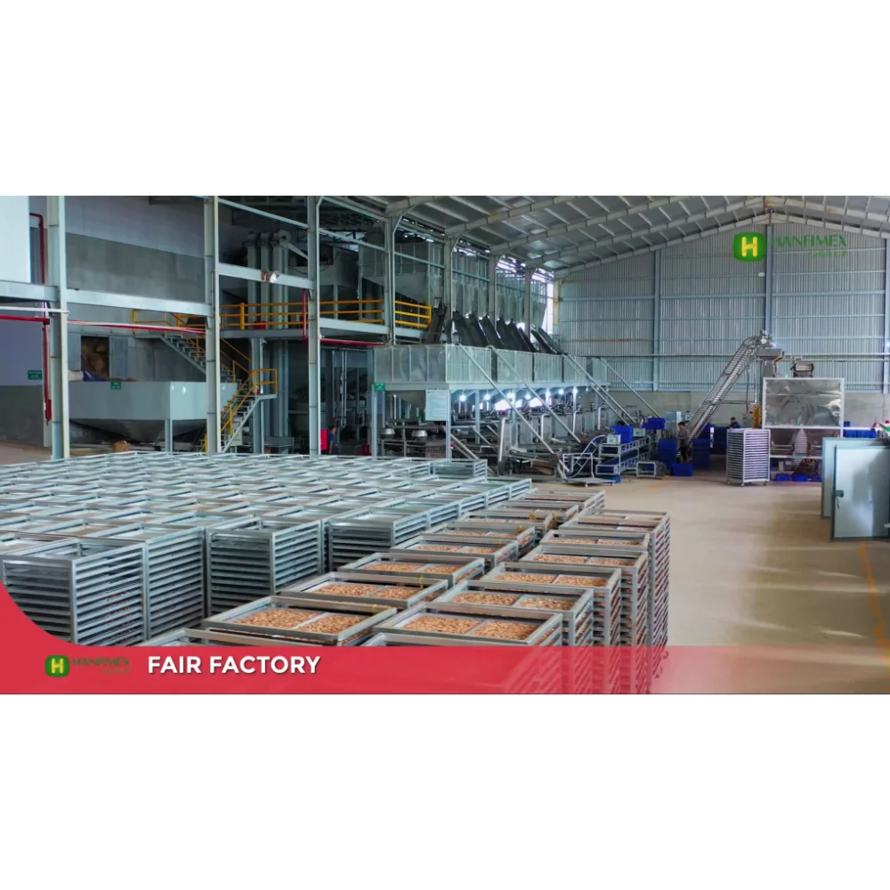 VIETNAM CASHEW NUT W320 NEW CROPHIGH QUALITY BEST PRICE BRC FOOD TOP SUPPLIER HANFIMEX GROUP