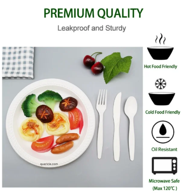 high quality factory price  Disposable  Biodegradable Utensils for Weddings, Events, Birthdays, Travel, Camping hotels bar home