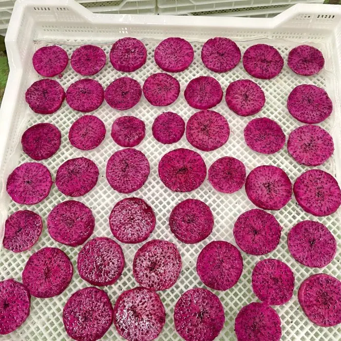 Dried Dragon Fruit & Vegetable Snacks Wholesale Dry Fruit with Real Fruit Flavors and No Minimum Order Quantity