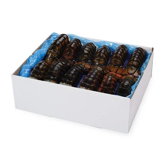 Live Lobsters, Fresh Chilled Lobster, Frozen Lobsters Box Style Packaging frozen lobster tails for sale