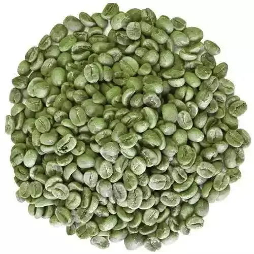 Green Bean Commercial Robusta Aeroco Coffee German Factory Good Price