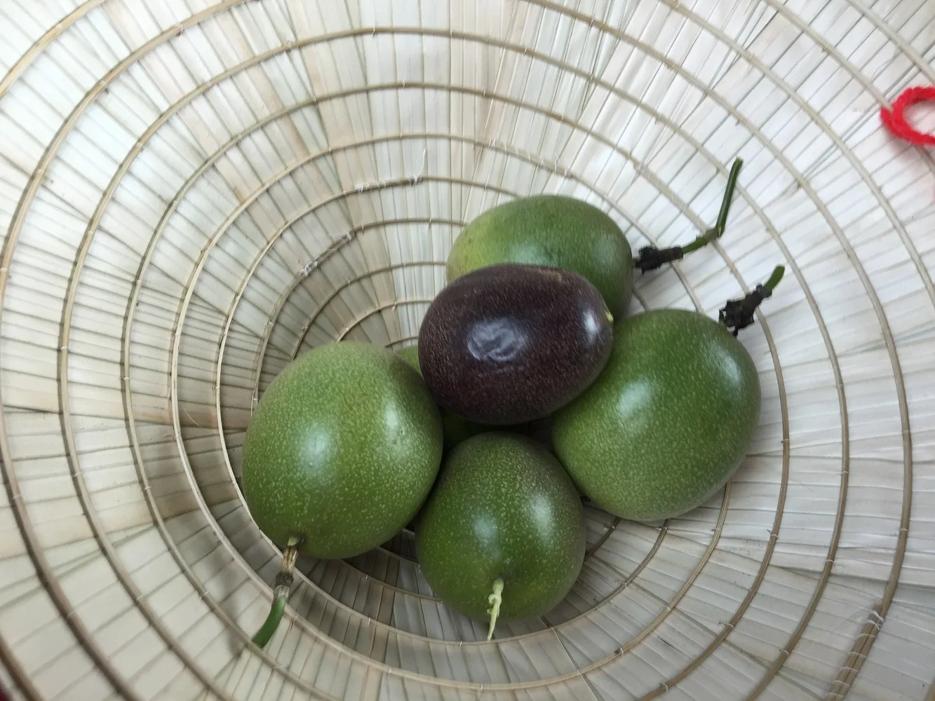 Organic Box Bulk Fresh Naturally Taste Natural Flavor Normal Feature Frozen Passionfruit Puree Seed-out