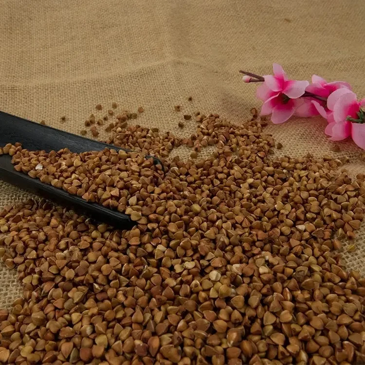 natural non-GMO buckwheat bulk buckwheat good price