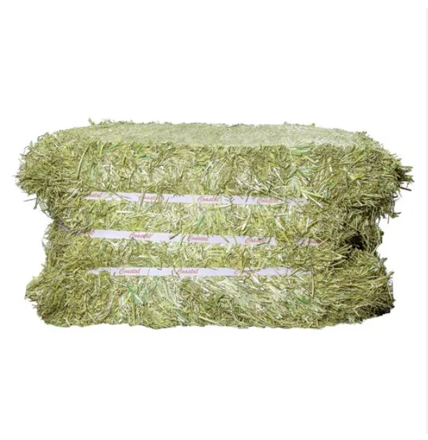 Hot Selling Timothy Hay For Animal Feed Wholesales Ready for Export