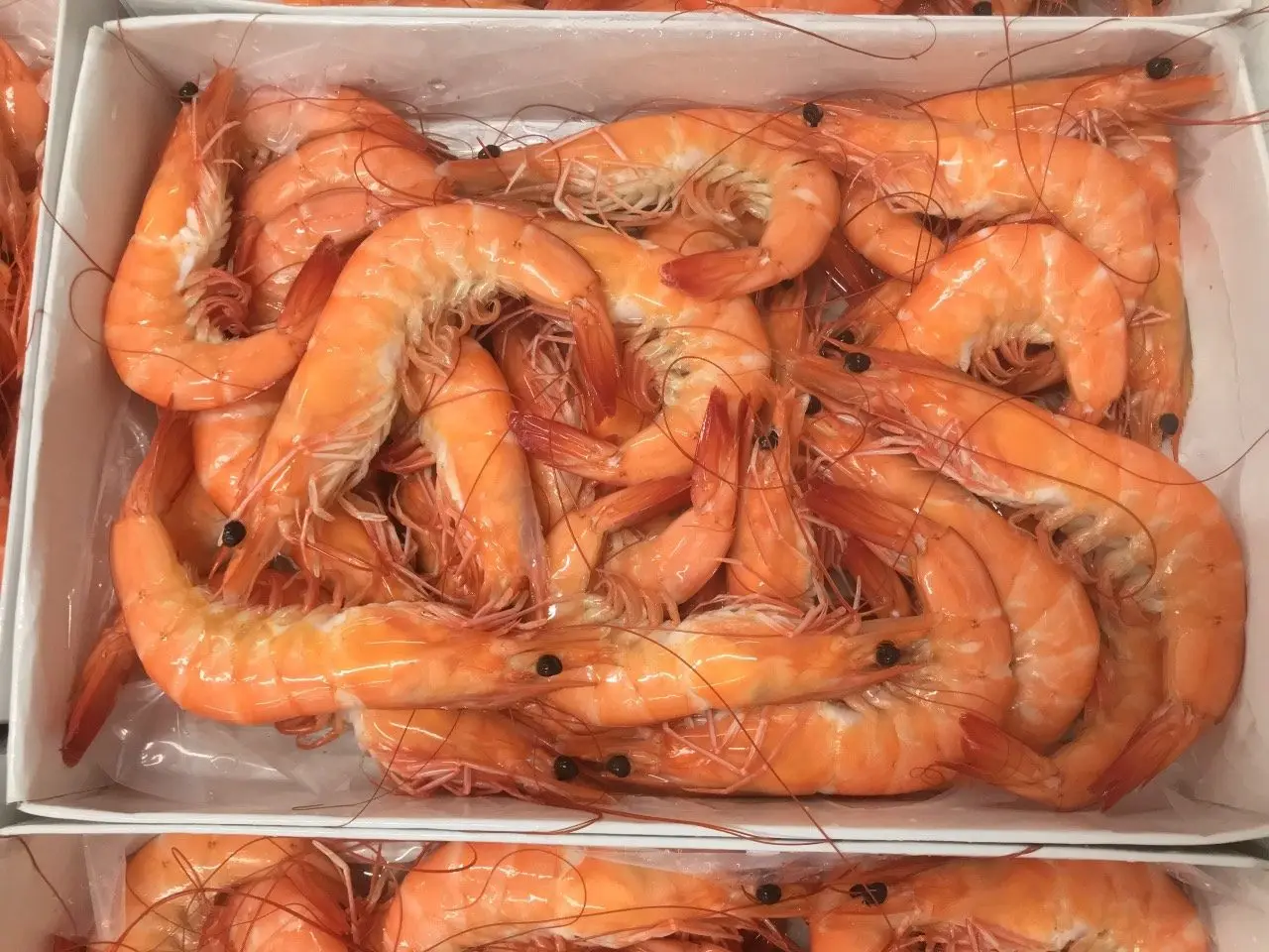 Best Price High Quality Frozen HOSO Vannamei Cooked Shrimp