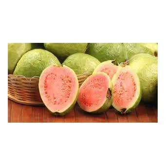Fresh guava Fruit From Producers Of Vegetables High Quality Green Fresh Fruit guava Sweet Wholesale Price