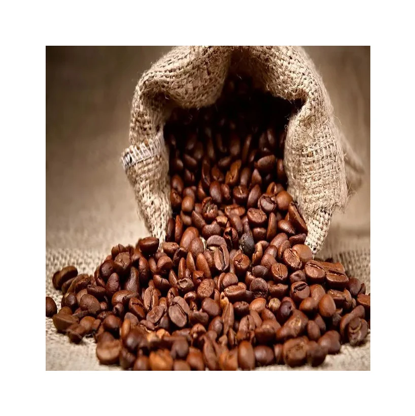 ROBUSTA GREEN COFFEE BEANS HIGH QUALITY REASONABLE PRICE