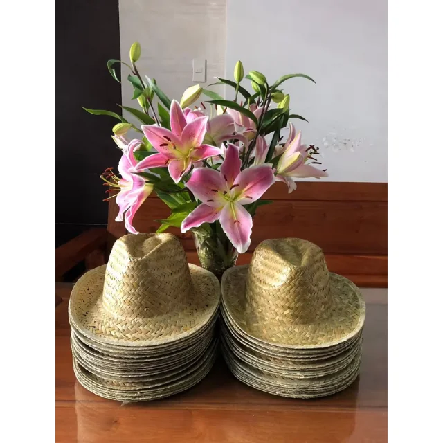 Best Seller Vietnam Manufacturer Wholesale Good Quality Straw Cowboy Hat for Unisex New Arrival Fashion Straw Hats Custom Logo