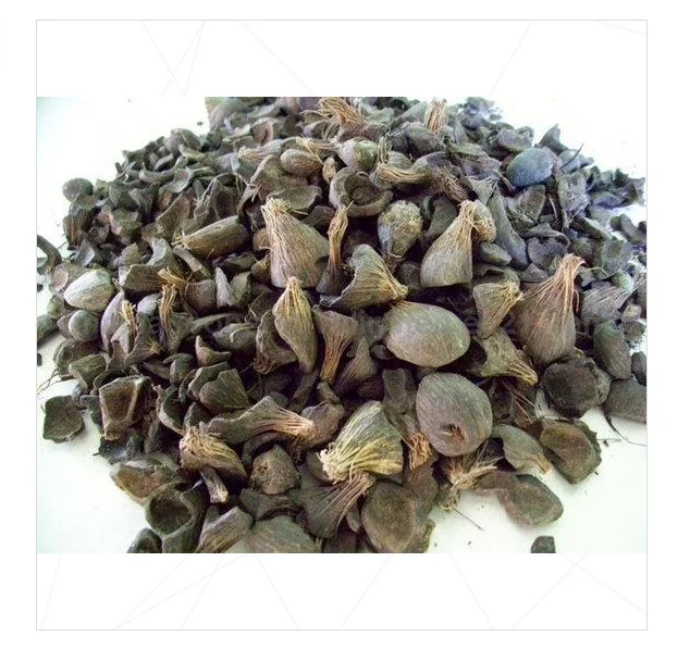 Palm Kernel Shell from Agricultural Waste