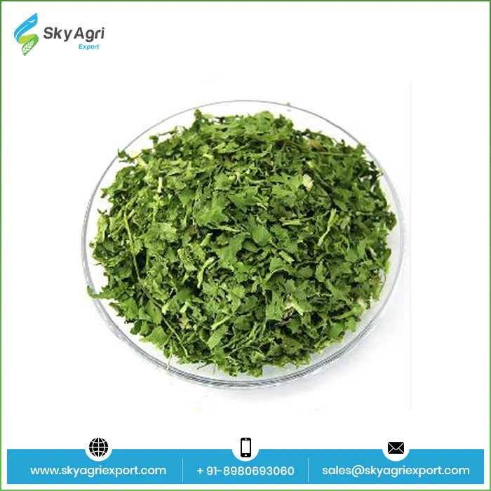 High Quality Pure 100% Coriander Leaves wholesale Spices Herbs Dry Coriander Leaves At  Bulk Price