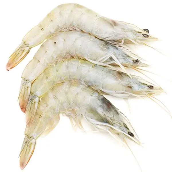 High Quality Seafood Frozen Dry Red Shrimp From Bangladeshi Supplier Tiger Shrimp Price Sea Food Shrimp Frozen