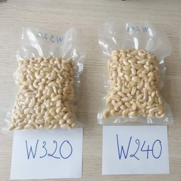 Competitive Price Provide Protein VietNam Factory Whosale White Cashew Nuts W320 W240 W180 High Quality Dried Nuts Kernel