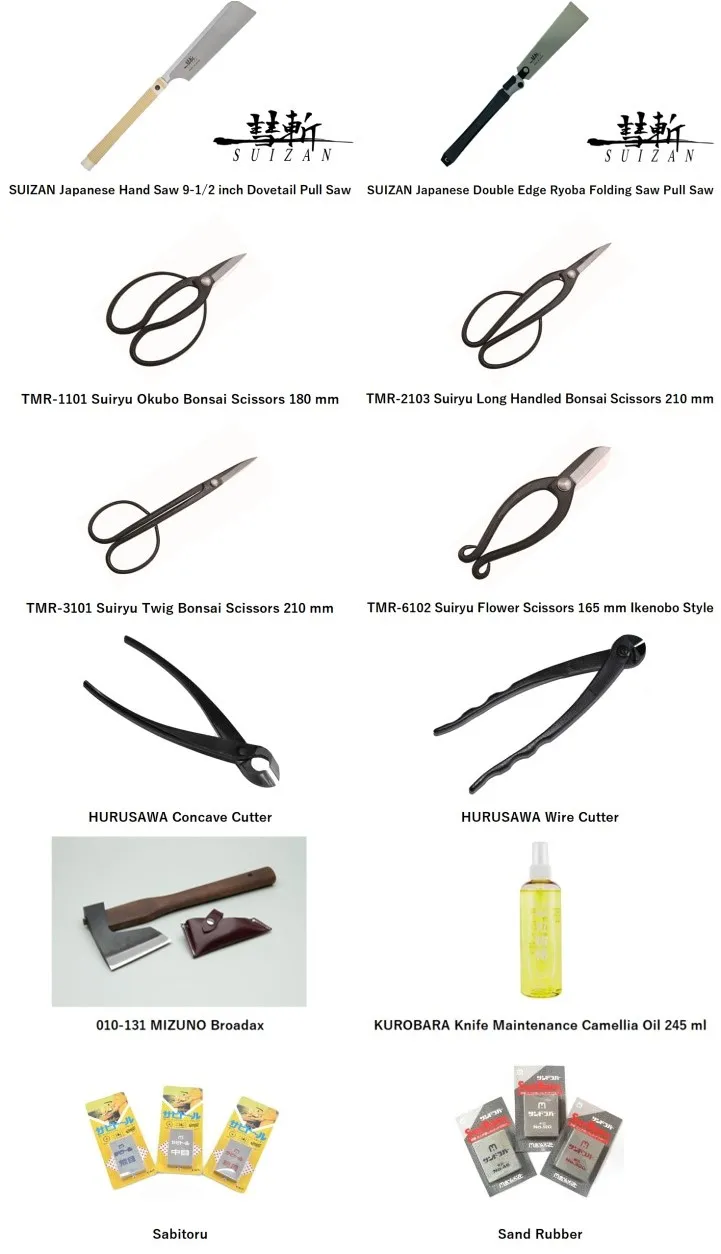 328 related int-5.jpg