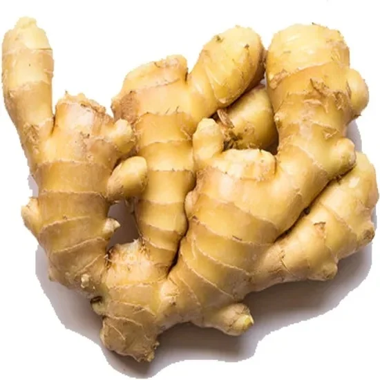 Super Hot Sale Fresh Old Ginger - Vietnam Spices - Best Price Old Ginger Exporter - Ready For Delivery