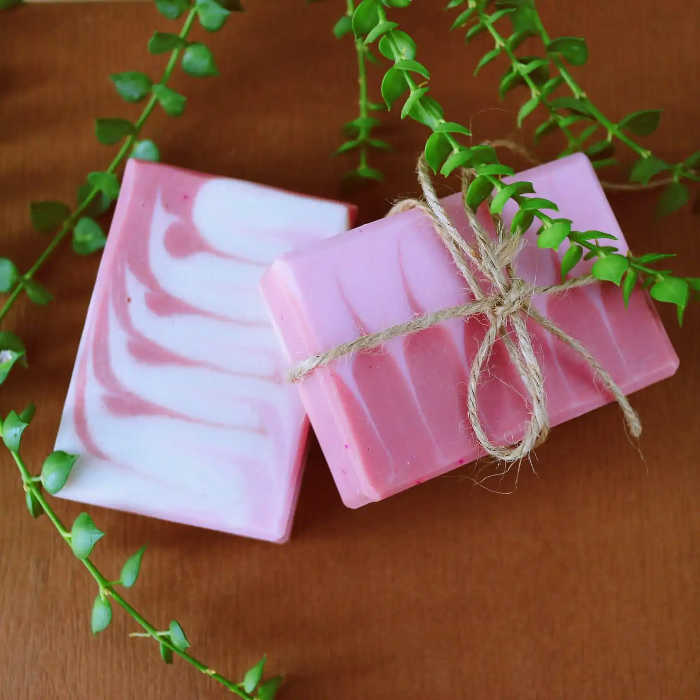 COCONUT SOAP/ CUSTOMIZED COCONUT SOAP/ COCONUT OIL SOAP ECO - FRIENDLY AND SAFE FOR HUMAN FROM COCO - ECO VIETNAM
