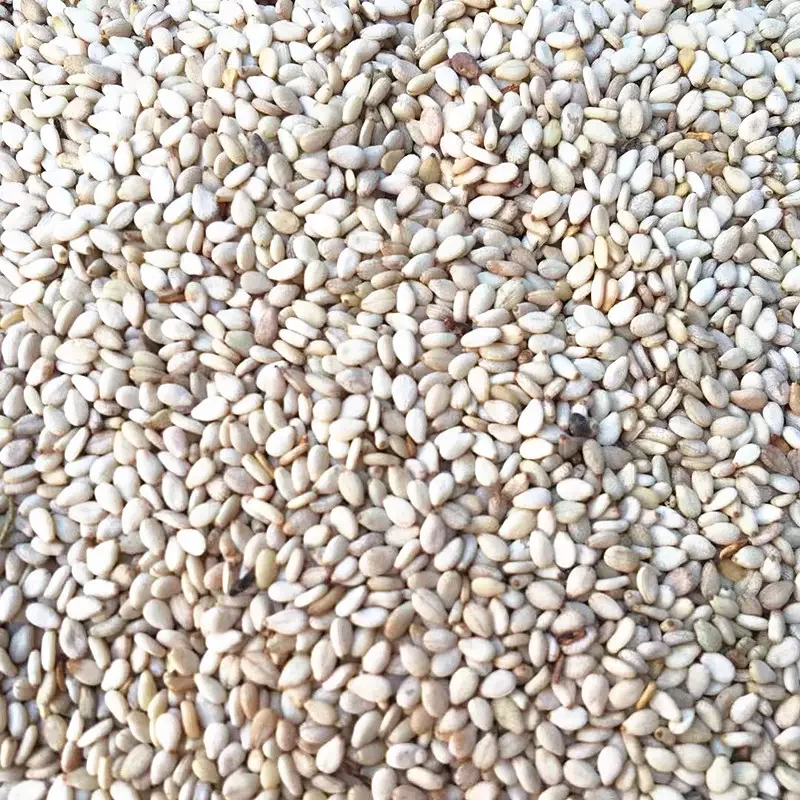 Wholesale top grade cooked sesame seeds ready to eat black sesame for baking