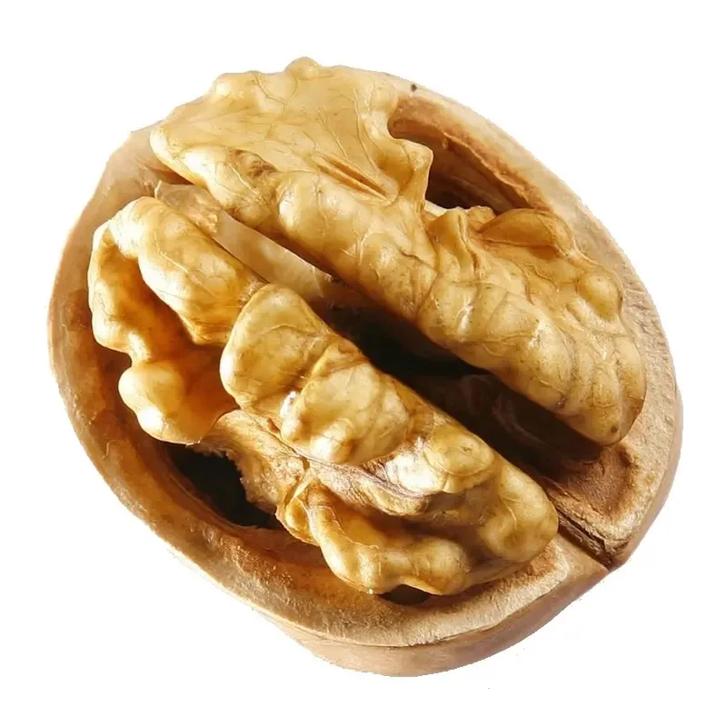 Wholesale High Quality1kg Walnuts Price Walnut in Shell Walnuts