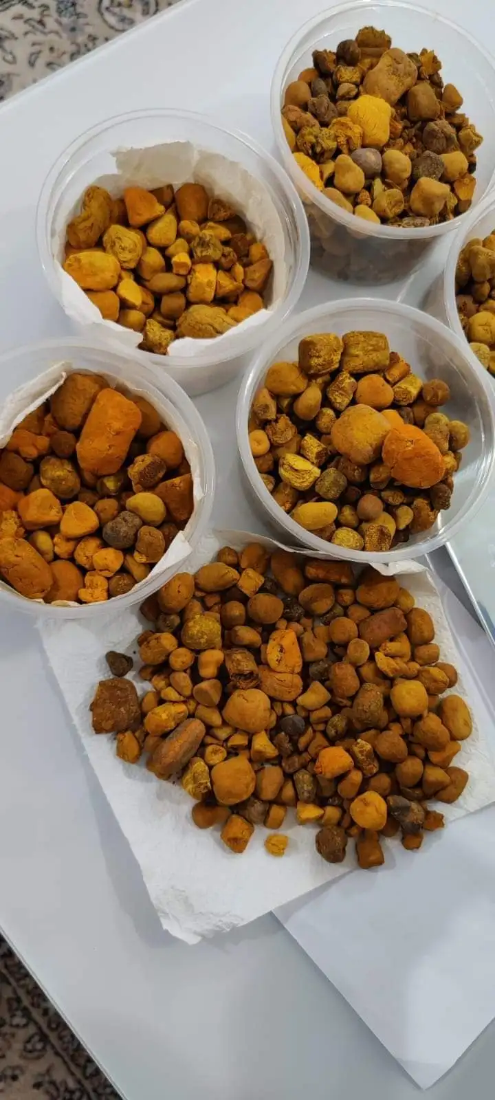 100% natural top Quality Ox Gallstones Cattle Gallstones Cow Gallstones Buy Cow Gall Stones for sale