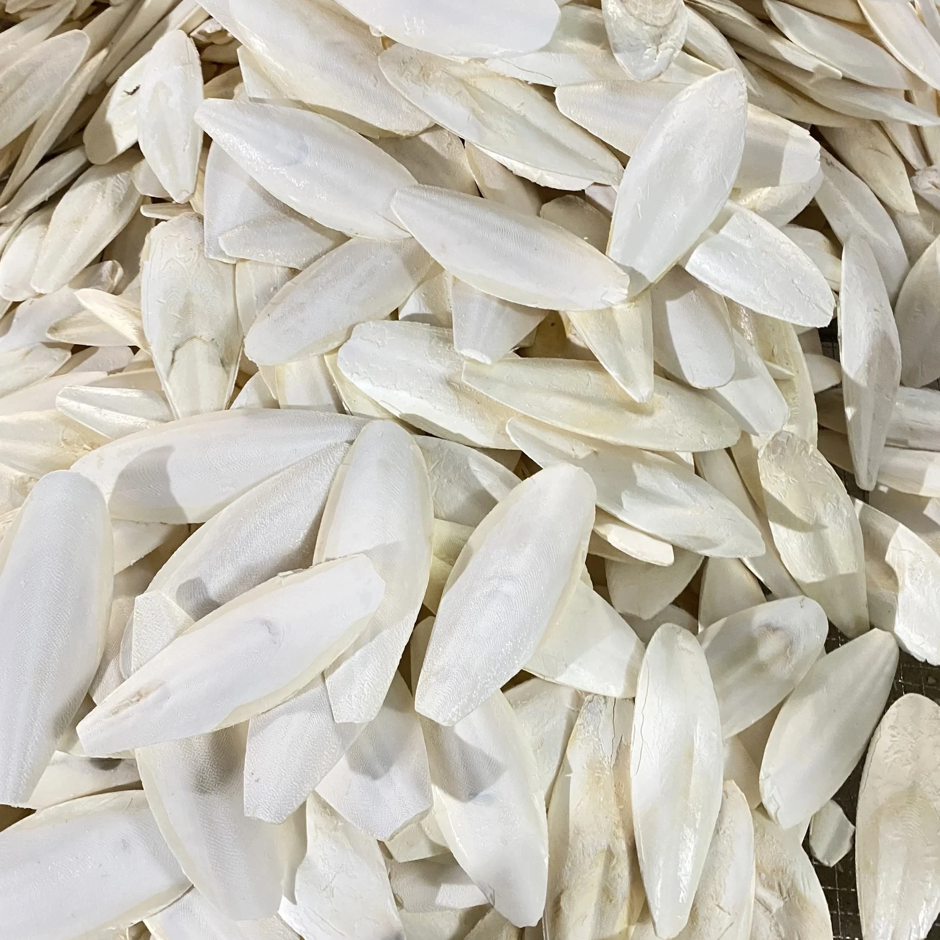 Pet Trending Toys Pure Natural Cuttlebone Calcium For Reptiles, birds, snails Squid Bone moisture 13% Pet products supplier