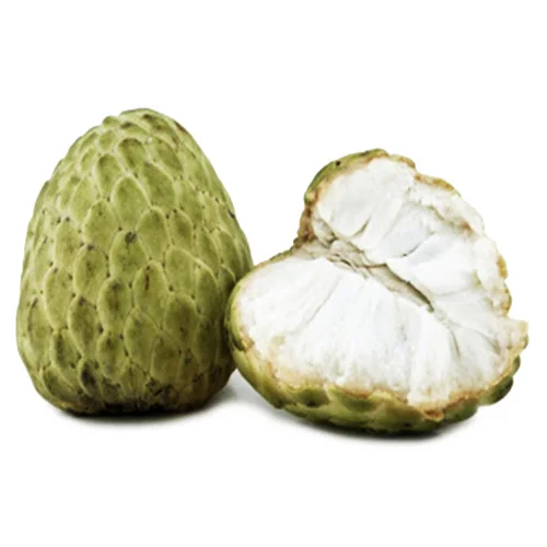VIETNAM FRESH CUSTARD APPLE - HIGH QUALITY EXPORT GRADE TROPICAL FRUIT - TOP DESSERTS AND SMOOTHIES