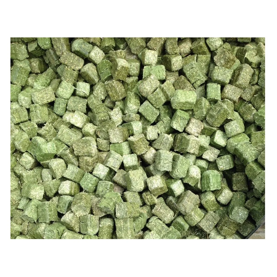 Alfalfa Hay Bales/Alfalfa Cubes/Alfalfa Pellets Stock Available