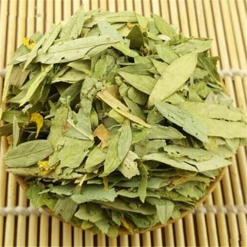 Wholesale Dried Senna Leaf Tea Dried Leaves Herbal Tea for Slimming Senna Leaves Buy From Indian Supplier