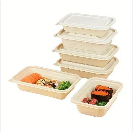 Wholesale Disposable Food Packaging Container Biodegradable Cornstarch Food Container and Plates