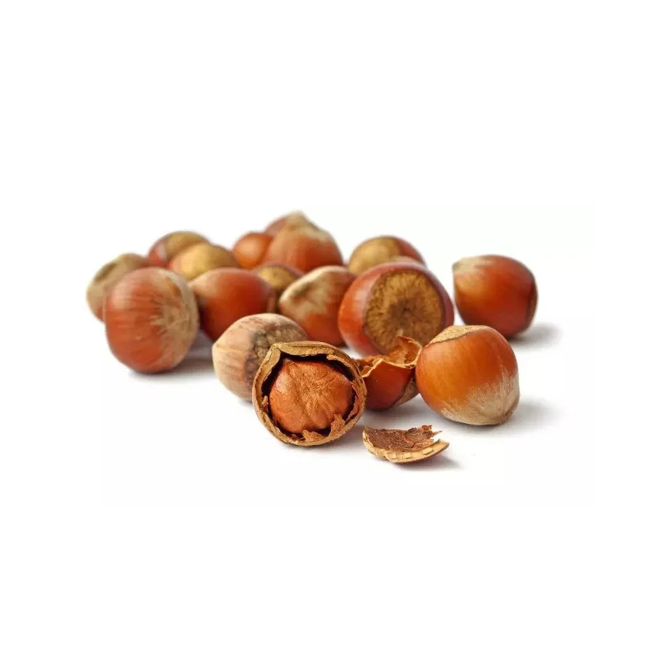 Raw Hazelnut / Organic Grade Hazelnut/Hazel Nuts