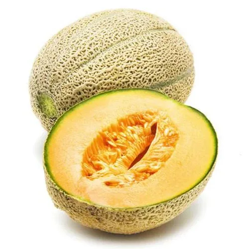 Buy premium quality Rockmelon